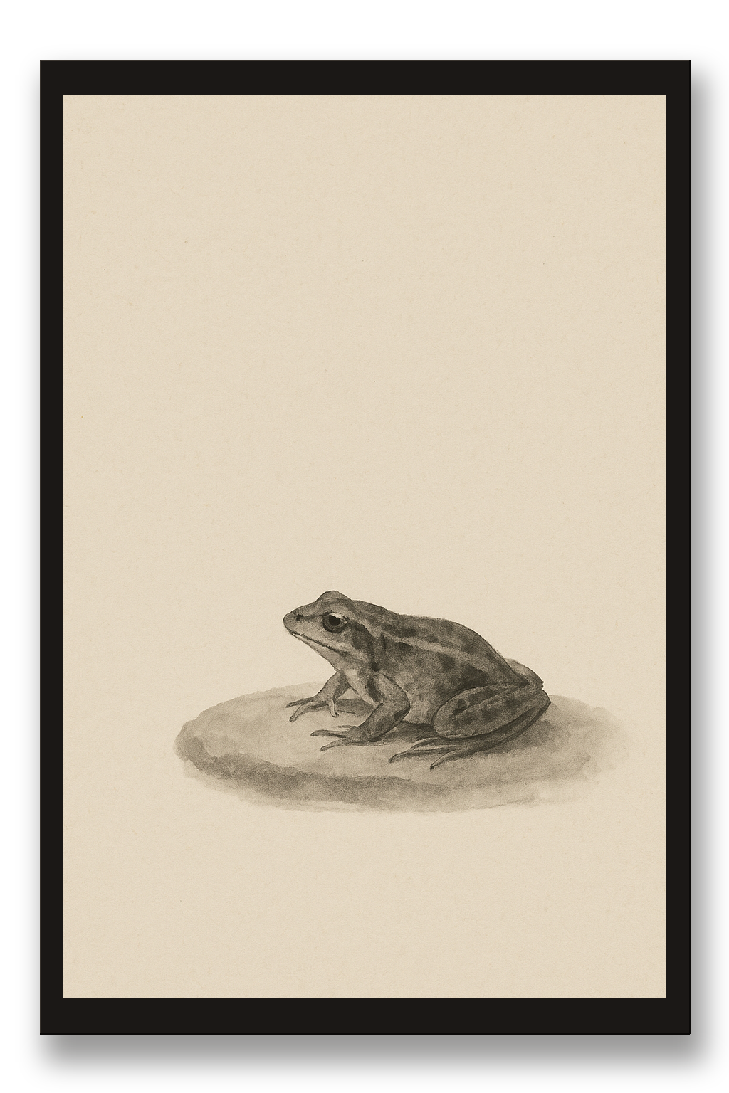 Kaeru — frog — framed 30×45 cm, black wood frame with acrylic glass