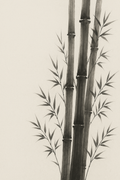 Chikurin — bamboo grove