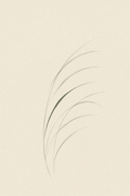 Kaze — wind — kaze motif