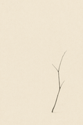 Ma — emptiness — ma motif