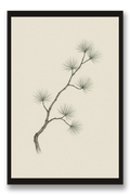 Matsu — pine tree — framed 30×45 cm, black wood frame with acrylic glass