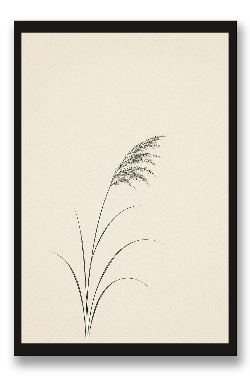 Susuki — pampas grass — framed 30×45 cm, black wood frame with acrylic glass